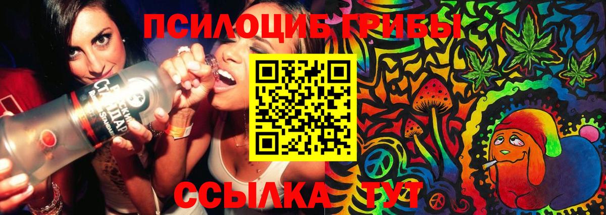 Галлюциногенные грибы мицелий  Вход с VPN  Москва  Псилоцибиновые грибы мицелий 