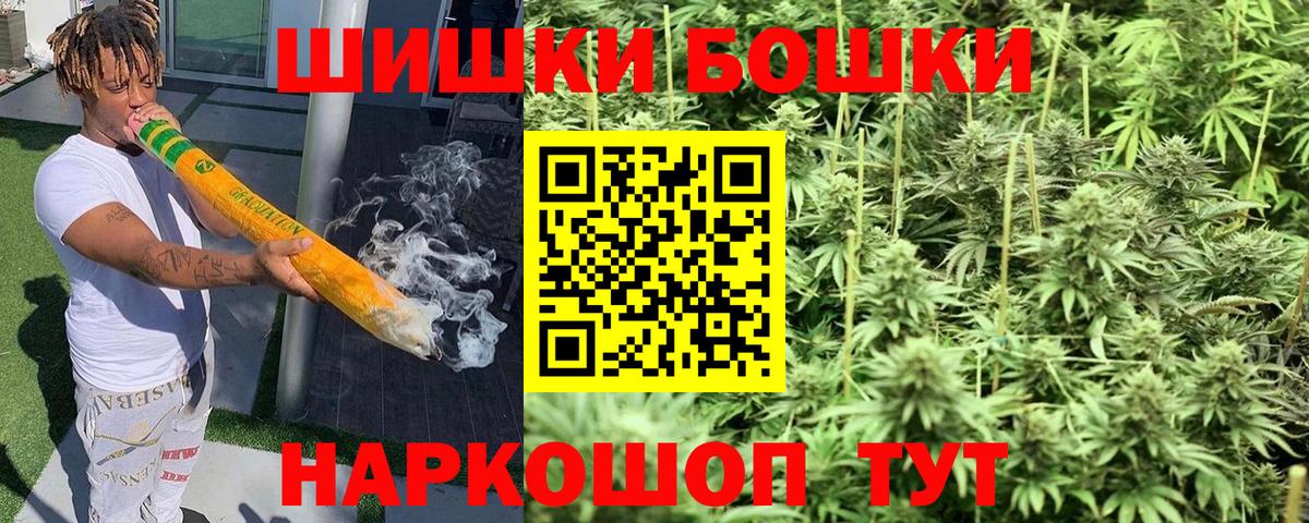 Конопля сатива Москва